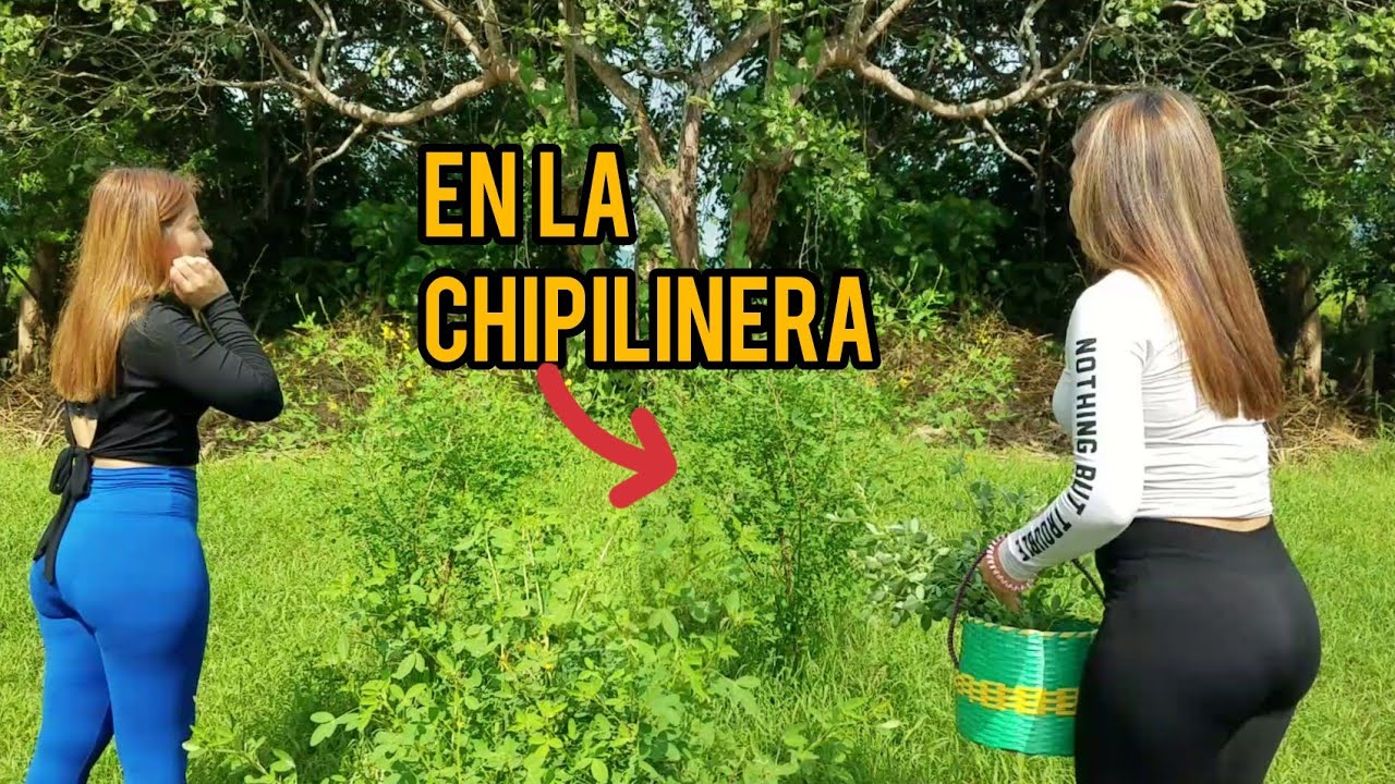 CORTANDO CHIPILINES EN EL CAMPO | BONITO DIA ASOLEADO ⛅⛅🌨
