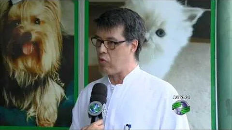 Tem cura para calazar em cachorro?