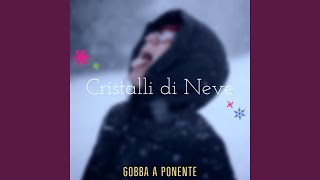 Cristalli di neve Cristalli di neve