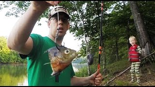 How to catch catfish from the bank  Bank fishing for catfish
