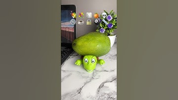 What do you want me to put on top of the turtle next? 🤭✨🐢 #turtle #coaster #turtlecoaster