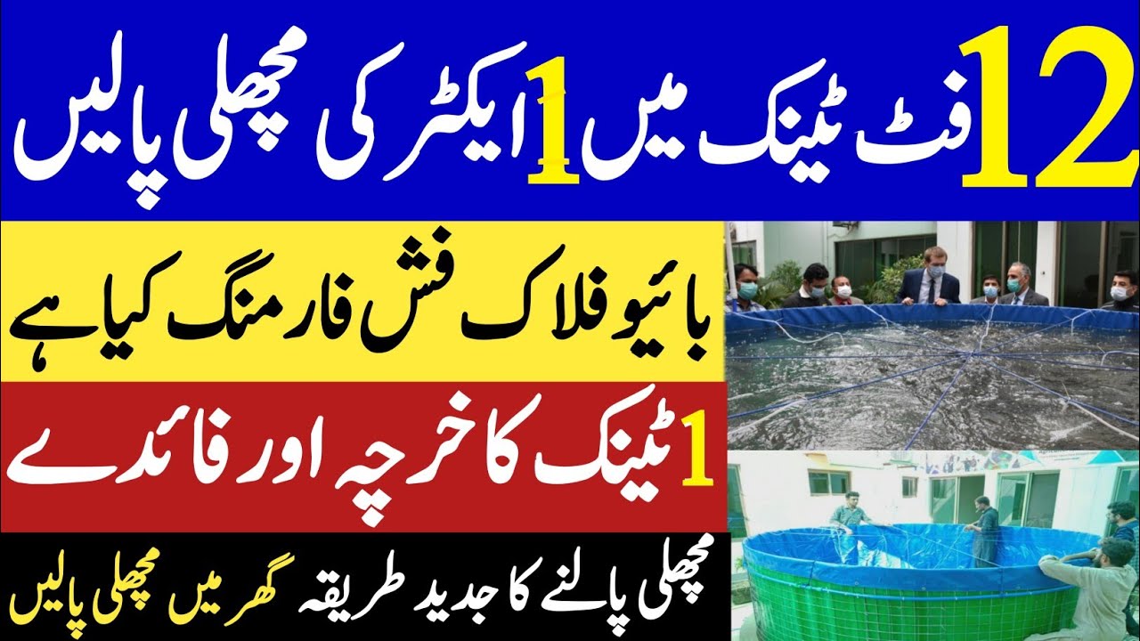 How To Start BIOFLOC Fish Farming In Pakistan | Biofloc Fish Farming ...