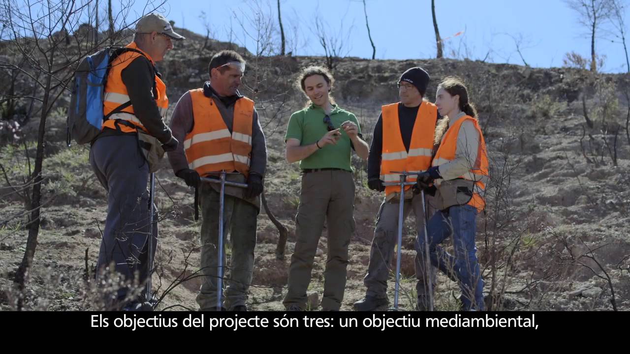 reforestar gran canaria Sembrando los bosques del futuro - Programa d’Emprenedoria Social de l’Obra Social ”la Caixa”