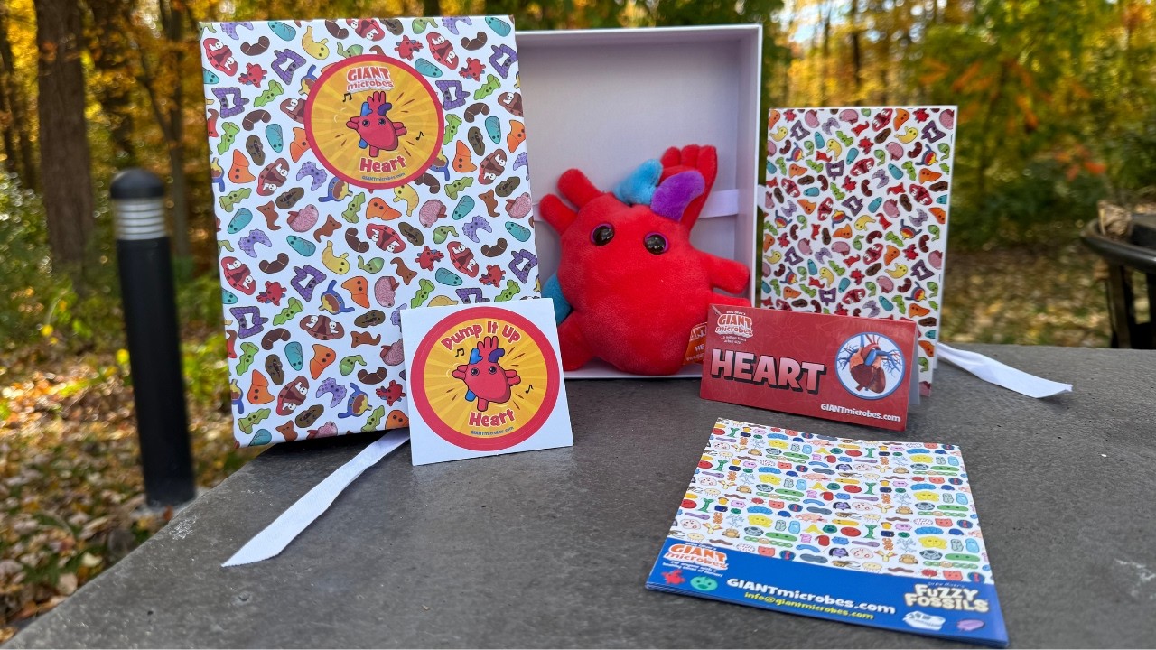 Heart Gift Box - Plush Gift for Medical Love & Anatomy | GIANTmicrobes