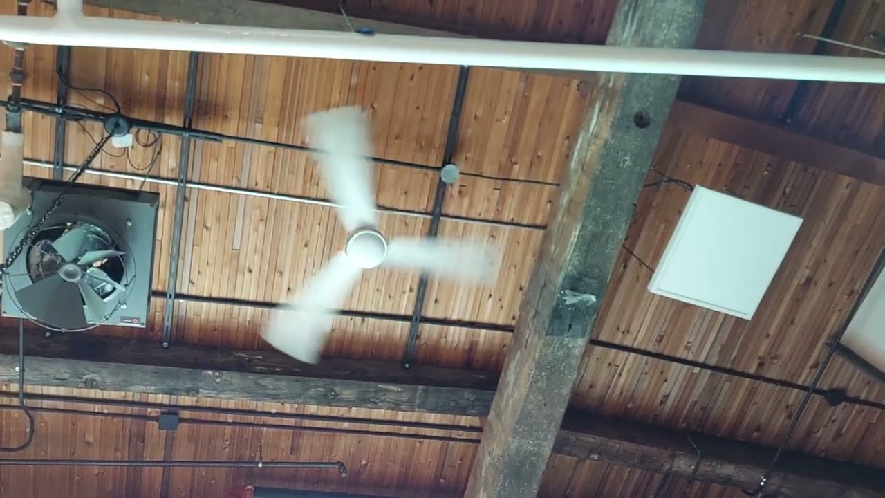 DC Canarm CP60D11N Industrial Ceiling Fans