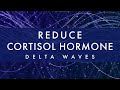 Reduce cortisol hormone levels  delta waves  stress and anxiety relief  sleep music