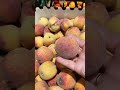 Персик 🍑в АТБ #акціяатб#магазинатб#україна#черкаси#літо2026