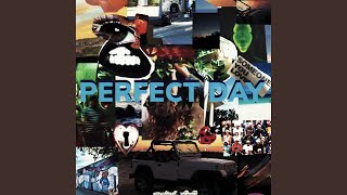 Video thumbnail of "Peyton Medina - Perfect Day"