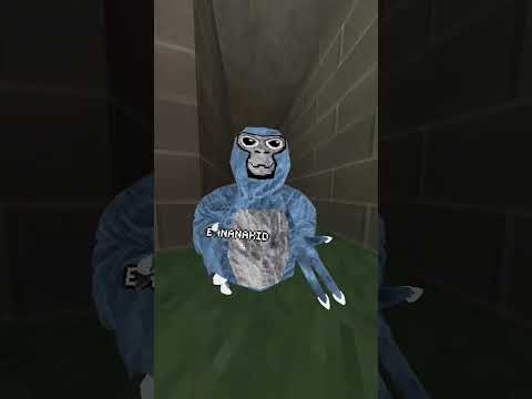 poor squid ward