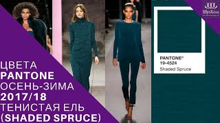 МОДНЫЕ ЦВЕТА PANTONE СЕЗОНА ОСЕНЬ-ЗИМА 2017-2018  ТЕНИСТАЯ ЕЛЬ (SHADED SPRUCE)