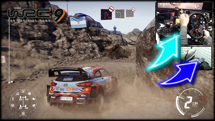 WRC 9 Hyundai i20 WRC Rally Argentina / Logitech G29