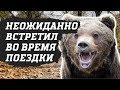 Неожиданная встреча на закрытии сезона велопоходов