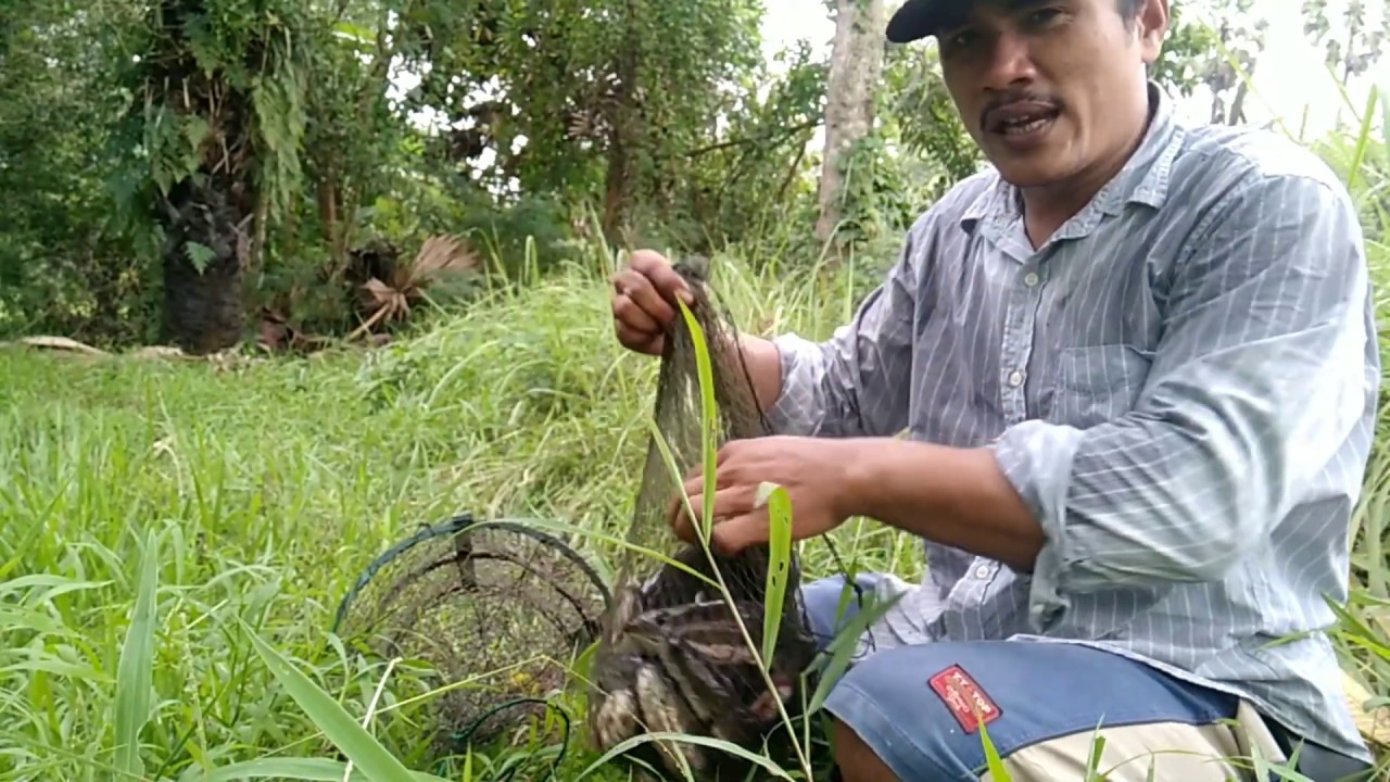 ยกดูไซผี..ในสวนร้าง?เข้าทุกลูก!!