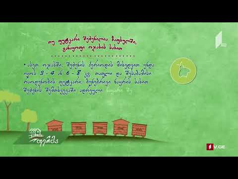 #ფერმა #უკეთრომაკეთო ფუტკრის მაღალპროდუქტიული ოჯახის შეძენა