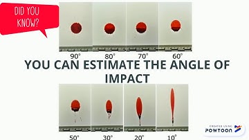 CHAPTER 2: BLOODSTAIN PATTERN ANALYSIS