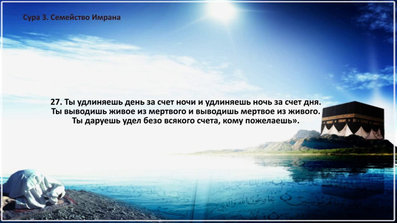 рукъя мишари рашид скачать Умар ошский рукъя шаръия+996551322297 скачать бесплатно видео с.