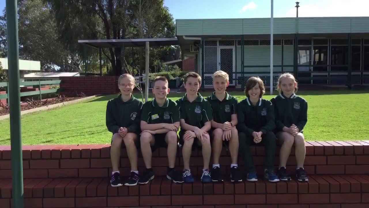 CHPS Google Grant Application Video