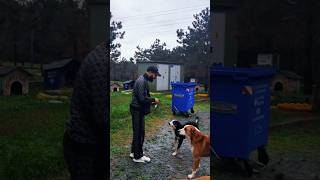 Ver Baki̇m Akdo......