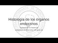 Histología - Órganos Endocrinos