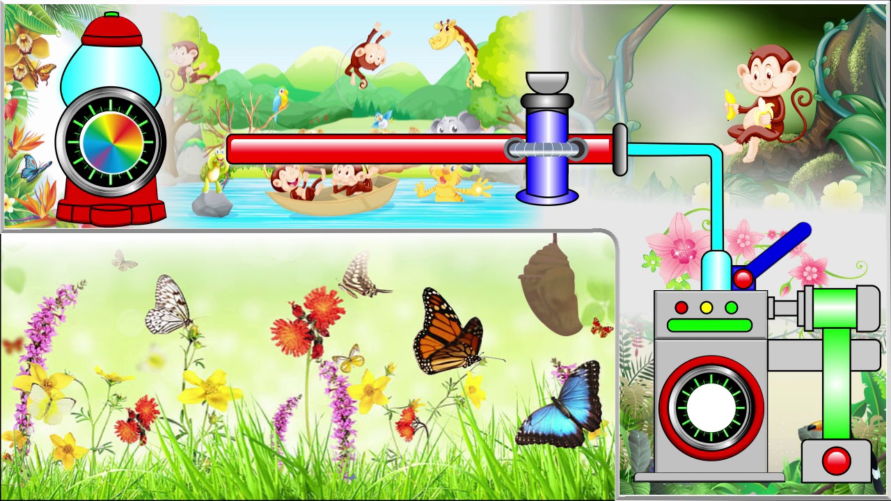 METAMORPHOSIS  BUTTERFLY Metamorfosis Kupu  kupu  YouTube  METAMORPHOSIS  BUTTERFLY Metamorfosis Kupu  kupu  YouTube