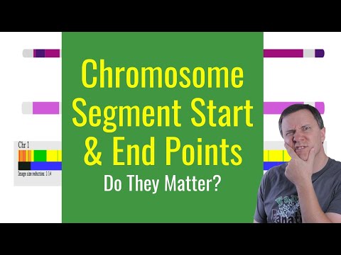 ვიდეო: რა ჰქვია ქრომოსომაზე ნაპოვნი დნმ-ის სეგმენტს?