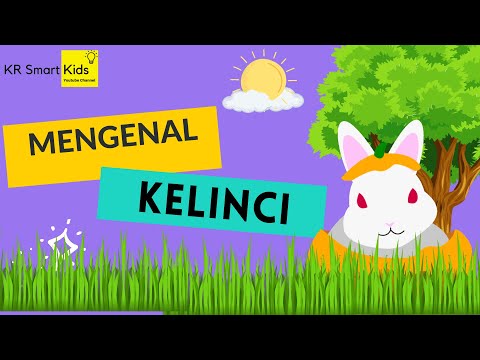 Video: Apa yang dimaksud dengan kelinci?