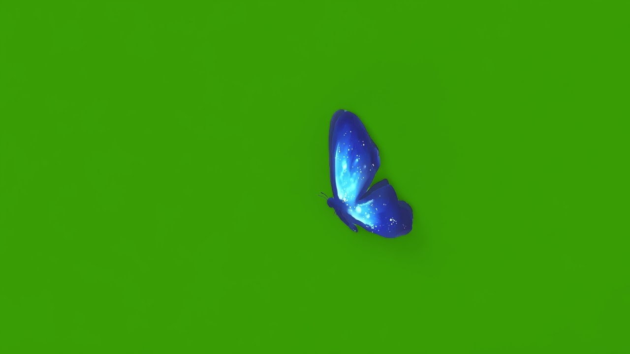 Blue butterfly green screen effects Butterfly green screen template