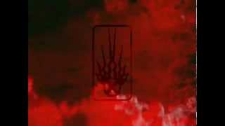 RIP Wayne Where the Hell Are We and What Day Is It This is Static-X rare DVD