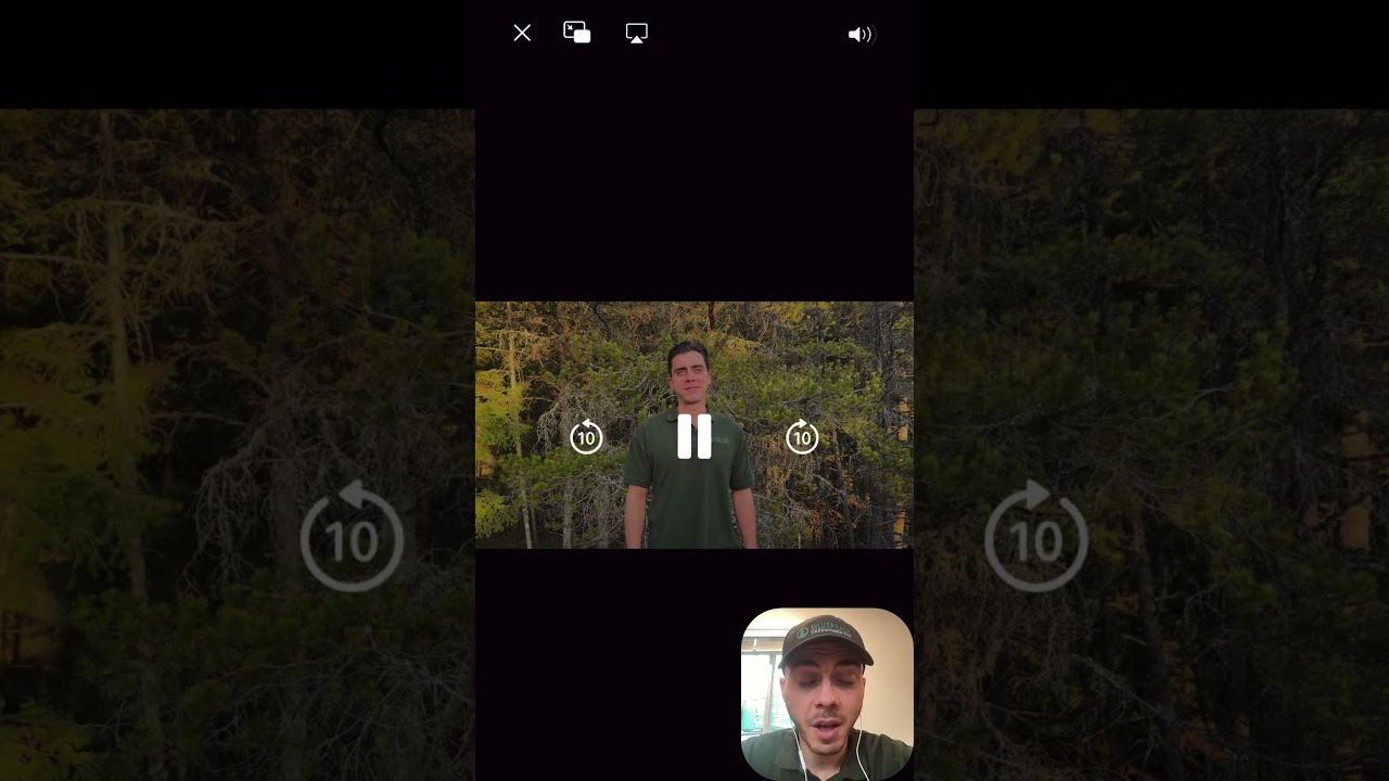How to Submit a Video of your Tree to Get an Estimate