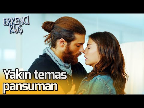 Yakın Temas Pansuman | Erkenci Kuş