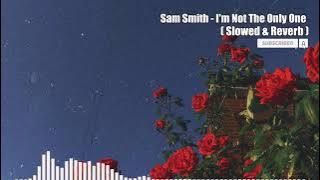 Sam Smith - I'm Not The Only One // 𝙎𝙡𝙤𝙬𝙚𝙙 & 𝙍𝙚𝙫𝙚𝙧𝙗 | p a n i c