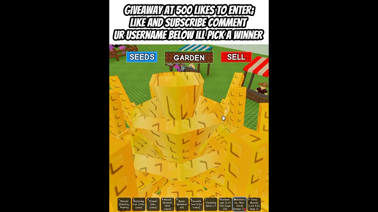 Can We Make It Happen? 