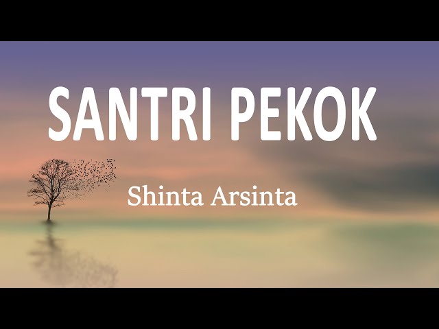 Shinta Arsinta - SANTRI PEKOK (Lirik Lagu) class=