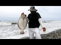 Pescador Pescó Tremendos Peces Planos y usó una caña censilla - video en 4K