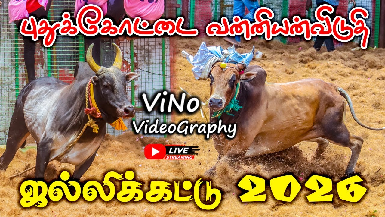 🔴புதுக்கோட்டை வன்னியன்விடுதி ஜல்லிக்கட்டு 2026 | VanniyanViduthi Jallikattu 2026  ViNo Videography 🔴