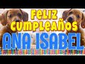 ¡Feliz Cumpleaños Ana Isabel! (Perros hablando gracioso) ¡Muchas Felicidades!