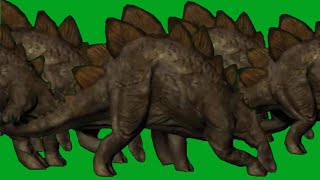 Dinosaurs Juric Stegosaurus Animal Stampede Walking Green Screen Blue Screen Best Hd Di