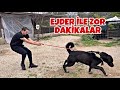 BİROL BAŞYİĞİT’İN ASLANLARIMIZ HAKKINDA Kİ DÜŞÜNCELERİ ! ÇOK EĞLENDİK KAÇIRMAYIN !