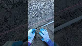 This is How We Set Up Bedding Layer for Pavers #bayarea #driveway #landscaping #pavers