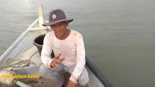 Merawai ikan sembilang