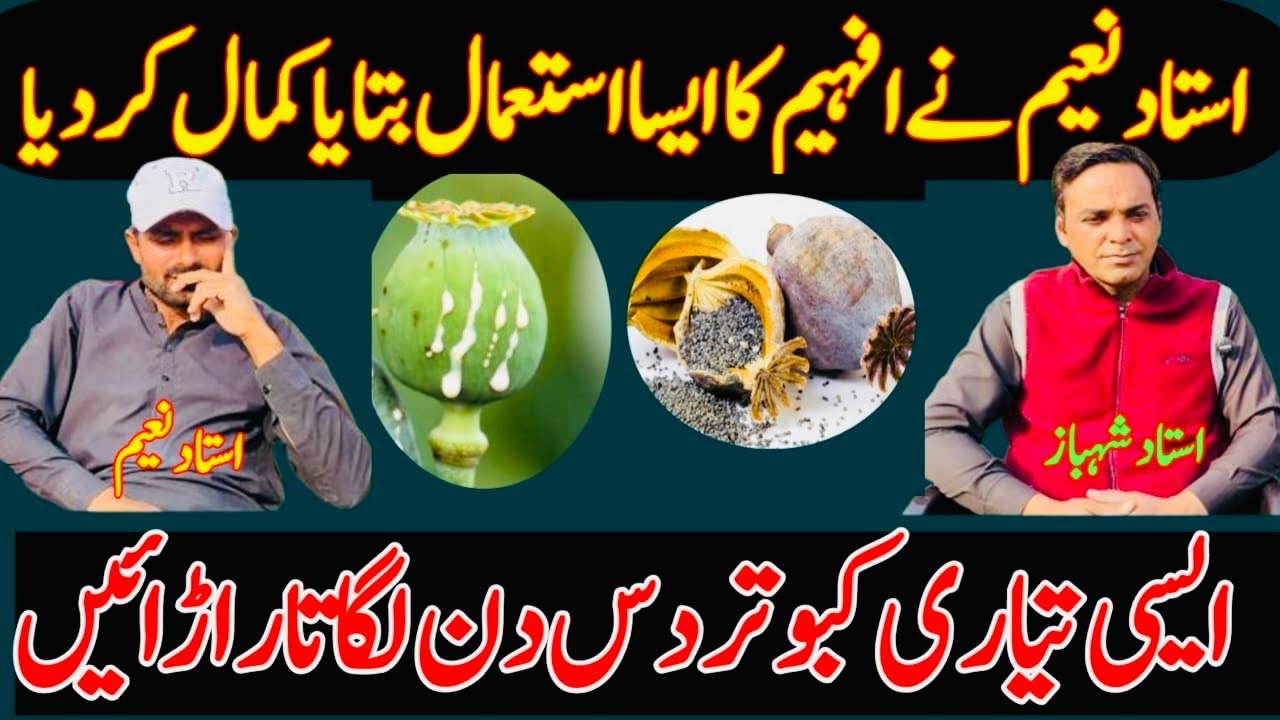 USTAD NAEEM NE KABOOTAR KI TYARI ME AFHEEM KA ASIA ISTMAL BTAYA DAS DIN LGATAR URAIN 