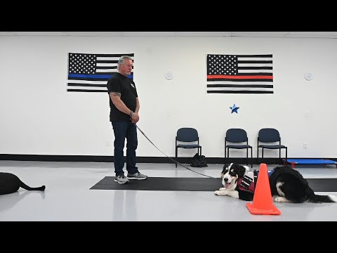فيديو: تساعد K9s للمحاربين في إقران كلاب الخدمة مع قدامى المحاربين