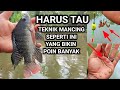 KAMU HARUS TAU‼️ MANCING IKAN NILA TEKNIK NYA SEPERTI INI || racikan umpan,mancing ikang nila