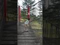 吊り橋って実はこわい