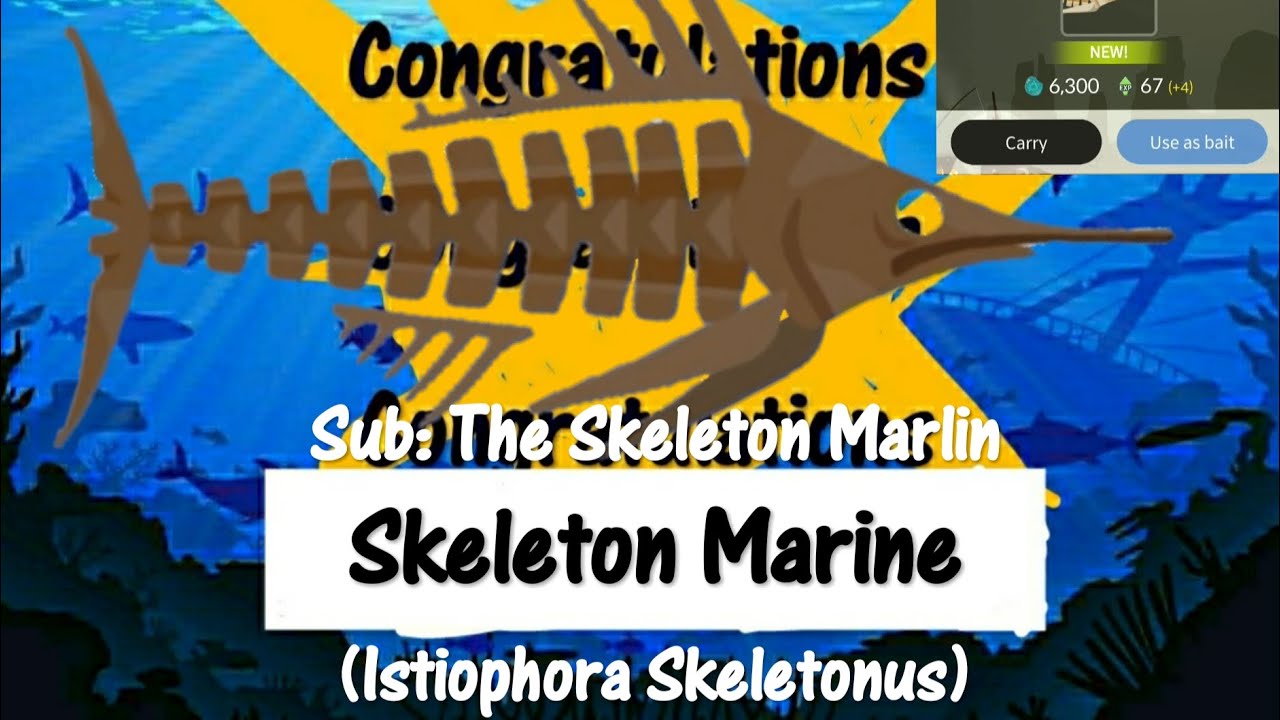 Casting Away 20 Skeleton Marine The Skeleton Fish Of The Deep Maxresdefault