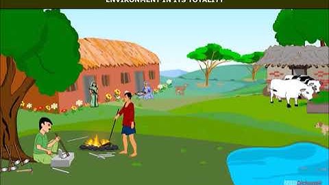 Environment | Components of Physical Environment | Geography | Class 7