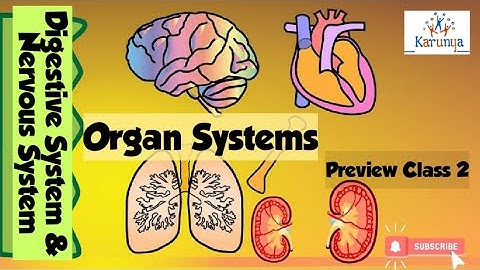 Std 5 Science Organ System - Preview Class 2 :: Digestive System