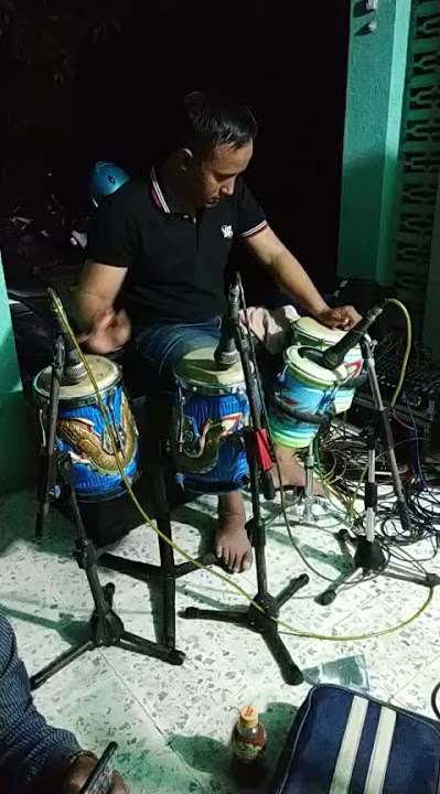 KOPLO MAWAR PUTIH - INUL DARATISTA