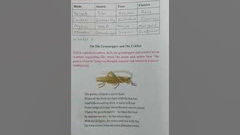 STD 7 English unit 4 activity 3