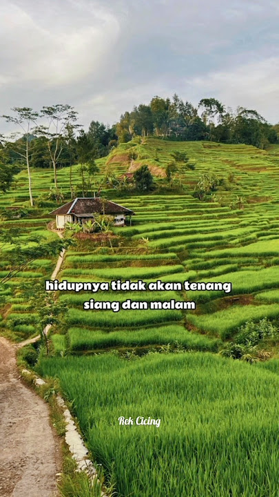 Abaikan orang yang iri dan dengki sama kita #motivasiharianku #katanasehat #katakatahikmahpendek